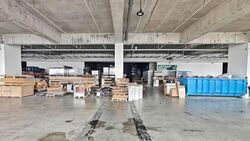 LINER (D22), Factory #558270501